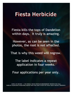 Green Alternative -- Fiesta Herbicide (40)