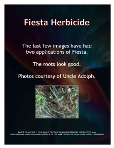 Green Alternative -- Fiesta Herbicide (41)
