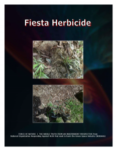 Green Alternative -- Fiesta Herbicide (42)
