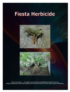 Green Alternative -- Fiesta Herbicide (46)