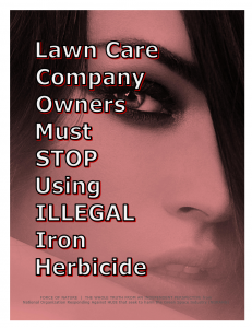 Green Alternative -- Fiesta Herbicide (48)