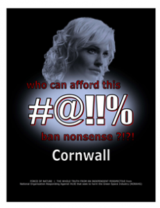 CARNAGE -- COSTS -- WEB-PAGE -- Cornwall -- 314 x 235 px