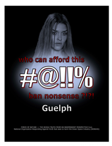 CARNAGE -- COSTS -- WEB-PAGE -- Guelph -- 314 x 235 px