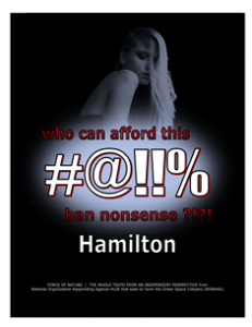 CARNAGE -- COSTS -- WEB-PAGE -- Hamilton -- 314 x 235 px