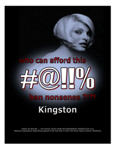 CARNAGE -- COSTS -- WEB-PAGE -- Kingston -- 314 x 235 px