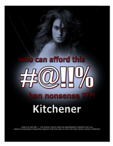 CARNAGE -- COSTS -- WEB-PAGE -- Kitchener -- 314 x 235 px