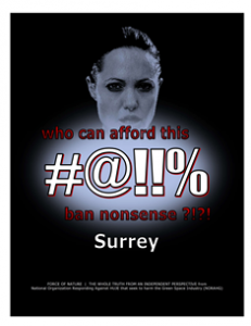 CARNAGE -- COSTS -- WEB-PAGE -- Surrey -- 314 x 235 px