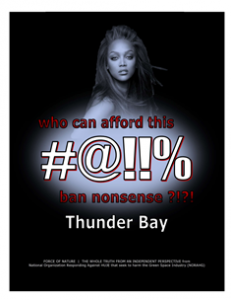 CARNAGE -- COSTS -- WEB-PAGE -- Thunder Bay -- 314 x 235 px