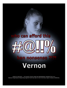 CARNAGE -- COSTS -- WEB-PAGE -- Vernon -- 314 x 235 px