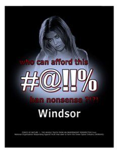 CARNAGE -- COSTS -- WEB-PAGE -- Windsor -- 314 x 235 px