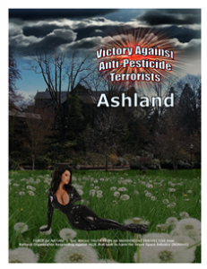 VICTORY AGAINST TERRORISTS -- WEB-PAGE -- Ashland -- 314 x 235 px