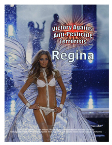 VICTORY AGAINST TERRORISTS -- WEB-PAGE -- Regina -- 314 x 235 px