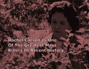 -- Force Of Nature -- RACHEL CARSON -- Titles For CARDS -- Carson Image -- Horizontal -- 2-10