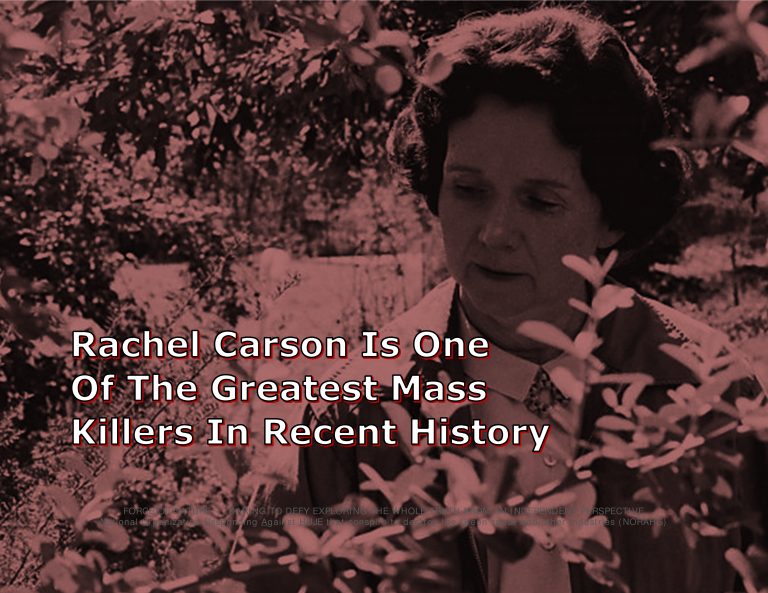 -- Force Of Nature -- RACHEL CARSON -- Titles For CARDS -- Carson Image -- Horizontal -- 2-10