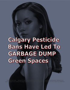 Force Of Nature -- Alberta Conspiracy -- Calgary -- 2012 05 21 -- CARNAGE -- GARBAGE DUMP -- Dandelions Rule -- IPM -- CARDS-2