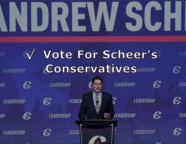 Force Of Nature -- Conservative Party -- 2017 05 27 -- The Industry Must Begin Supporting Scheer NOW -- CARDS -- 5 -- Scheer-4