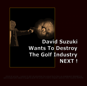 Suzuki 3W