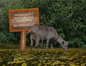 Force Of Nature -- Green Alternative -- Animals -- 2017 08 14 -- Baaaad Idea -- Goatscaping Dies Off -- CARDS -- 1-1
