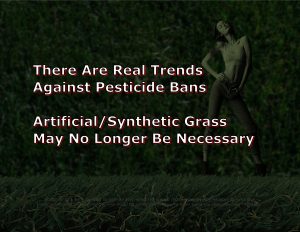 -- Force Of Nature -- ARTIFICIAL GRASS -- Titles For CARDS -- 2A -- Ecstatic -- Various Cards-5
