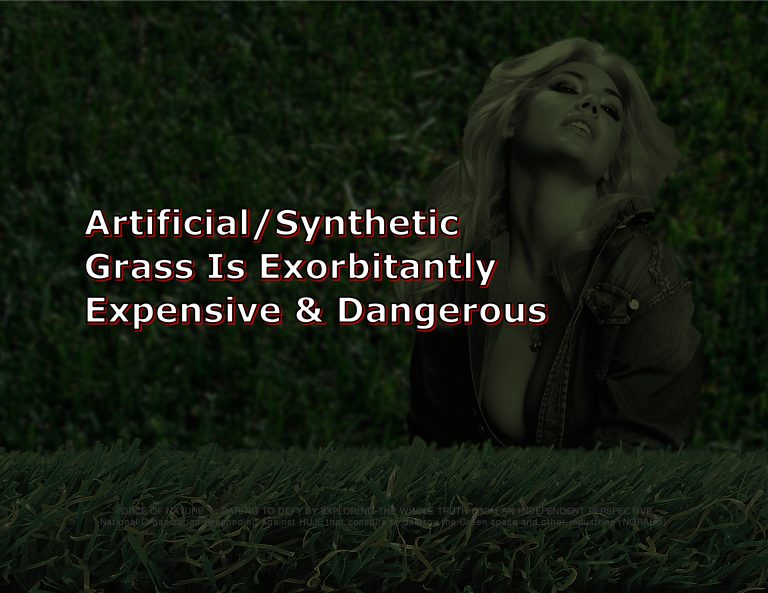 -- Force Of Nature -- ARTIFICIAL GRASS -- Titles For CARDS -- 2A -- Ecstatic -- Various Cards-6