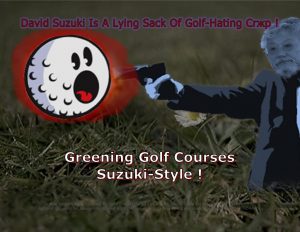 Force-Of-Nature-David-Suzuki-The-Suzuki-Documentary-1-LIAR-Dad-The-Dandelions-The-Nature-Of-Things-CARDS-2-2-1024x791