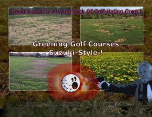 Force-Of-Nature-David-Suzuki-The-Suzuki-Documentary-1-LIAR-Dad-The-Dandelions-The-Nature-Of-Things-CARDS-2-5-1024x791