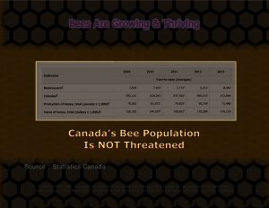 Force Of Nature -- Bee Conspiracy -- 2017 09 26 -- Tale Of Two Neonic Bumble Bee Studies -- THRIVING -- CARDS-3