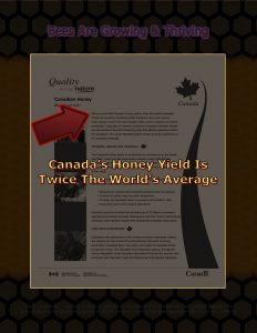 Force Of Nature -- Bee Conspiracy -- 2017 09 26 -- Tale Of Two Neonic Bumble Bee Studies -- THRIVING -- CARDS-8