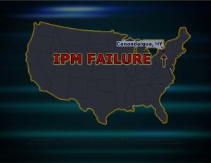 Force Of Nature -- FAILURE of IPM -- 2017 10 06 -- Canandaigua, NY -- City Council Votes -- CARDS-1