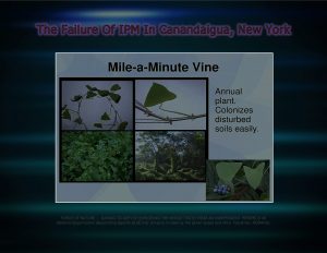 Force Of Nature -- FAILURE of IPM -- 2017 10 06 -- Canandaigua, NY -- City Council Votes -- CARDS -- INVASIVE SPECIES -- 1-9