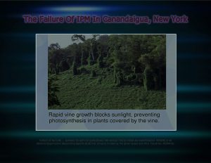 Force Of Nature -- FAILURE of IPM -- 2017 10 06 -- Canandaigua, NY -- City Council Votes -- CARDS -- INVASIVE SPECIES -- 2-1