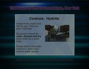 Force Of Nature -- FAILURE of IPM -- 2017 10 06 -- Canandaigua, NY -- City Council Votes -- CARDS -- INVASIVE SPECIES -- 2-7