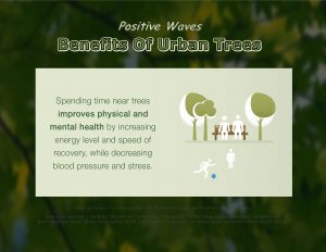 Force Of Nature -- Positive Waves -- 2017 10 00 -- Benefits Of Urban Trees -- CARDS -- 1 -- Slide Show -- 3-4