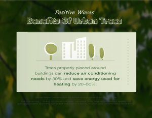 Force Of Nature -- Positive Waves -- 2017 10 00 -- Benefits Of Urban Trees -- CARDS -- 1 -- Slide Show -- 4-1