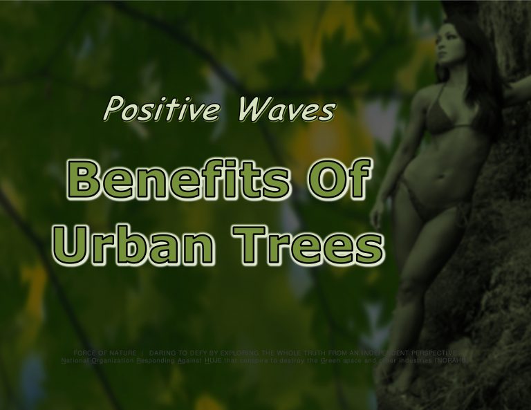 Force Of Nature -- Positive Waves -- 2017 10 00 -- Benefits Of Urban Trees -- CARDS -- 2-2