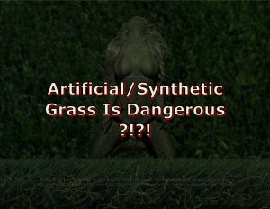 Force Of Nature -- Artificial Grass -- 2017 11 00 -- Industry's Claims Versus Science -- EHHI -- (21)