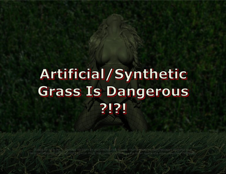 Force Of Nature -- Artificial Grass -- 2017 11 00 -- Industry's Claims Versus Science -- EHHI -- (21)