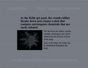 Force Of Nature -- Artificial Grass -- 2017 11 00 -- Industry's Claims Versus Science -- EHHI -- (3)