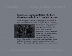 Force Of Nature -- Artificial Grass -- 2017 11 00 -- Industry's Claims Versus Science -- EHHI -- (4)