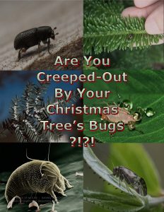 Force Of Nature -- Satire -- Happy Holidays -- 2017 12 01 -- Your Christmas Tree Could Be Infested With Up to 25,000 Bugs -- CARDS-7