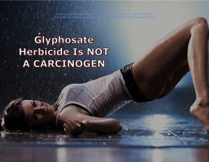 -- -- GLYPHOSATE -- 16-2