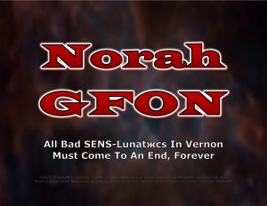 Force Of Nature -- British Columbia Conspiracy -- Vernon -- 2017 11 28 -- Sust Env Network Society ( SENS ) Is Wrong -- CARDS-17