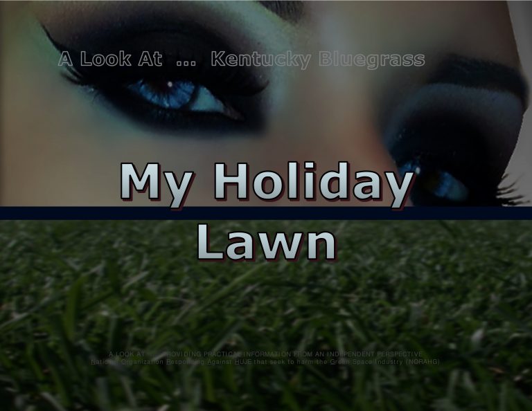 Force Of Nature -- Jacklin Seed -- My Holiday Lawn Kentucky Bluegrass (1)