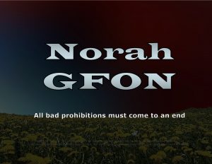 Force Of Nature -- State Of Maine -- Municipal Prohibitions Are Dismal Failures -- False-Pretexts -- Unfair Exception Statuses (14)