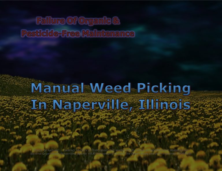 Force Of Nature -- Manual Weed Picking -- 2018 05 18 -- Naperville, Illinois -- Dandelion Pull At Knoch Park -- CARDS -- 1-1