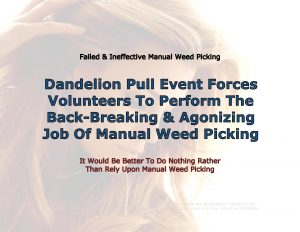 Force Of Nature -- Manual Weed Picking -- 2018 05 18 -- Naperville, Illinois -- Dandelion Pull At Knoch Park -- CARDS -- 1-13