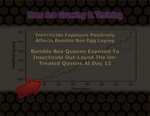 9. Insecticide Exposure Positively Affects Bumble Bee Egg Laying ( Card ) -- A
