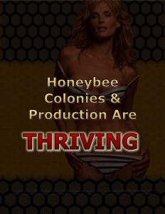 Force Of Nature -- Bee Conspiracy -- 2018 05 00 -- Best Management Practices For Turfgrasses -- CARDS -- 2-6