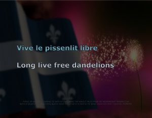Force Of Nature -- Quebec Conspiracy -- 2019 04 14 -- WEB-PAGE-1