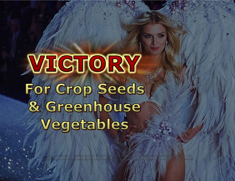 Force Of Nature -- Bee Conspiracy -- 2019 04 00 -- Canada -- Neonicotinoid Cancellations & New Restrictions -- CARDS -- 1-1